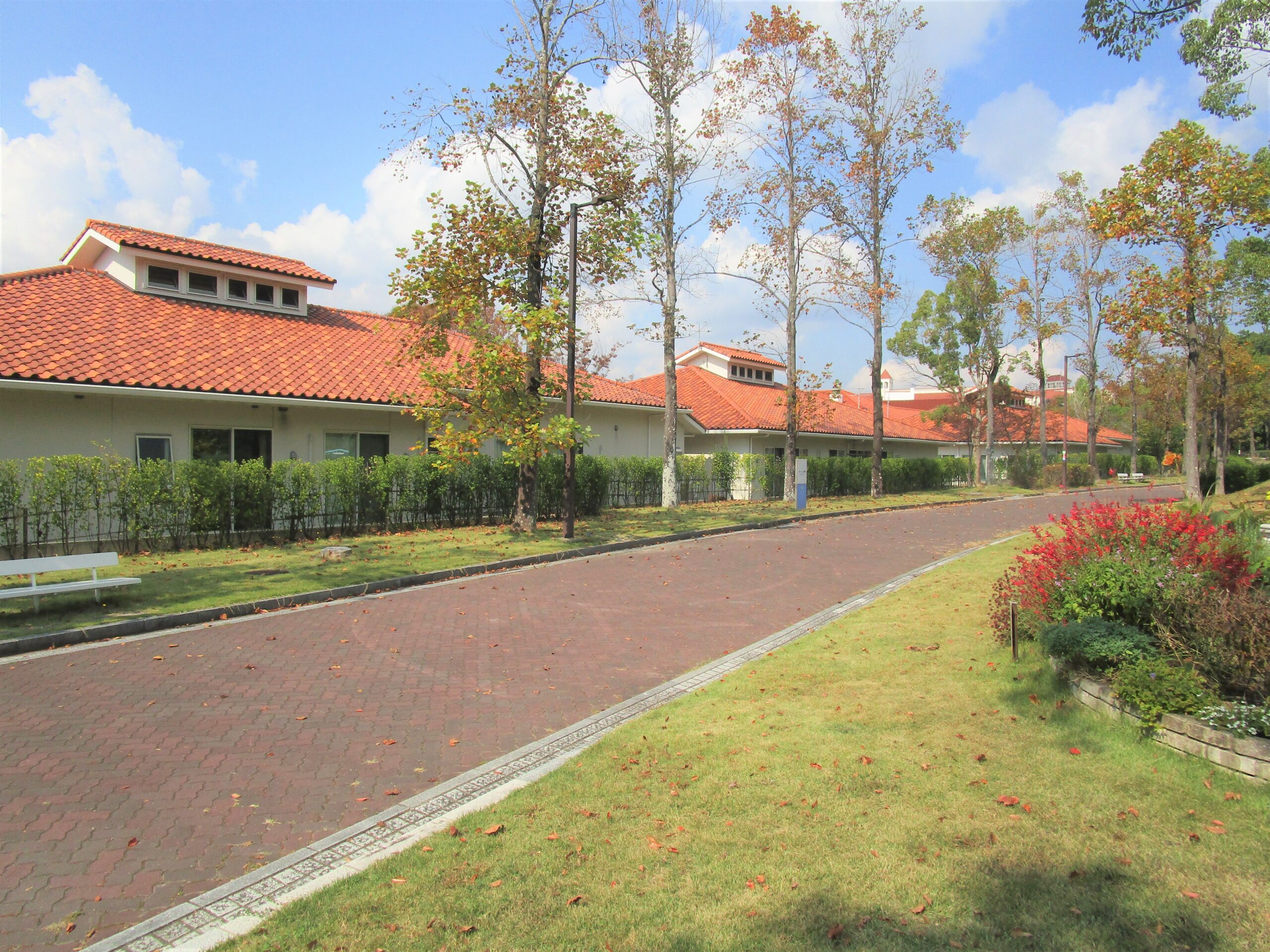 記事 えみのき（咲の樹）のアイキャッチ画像