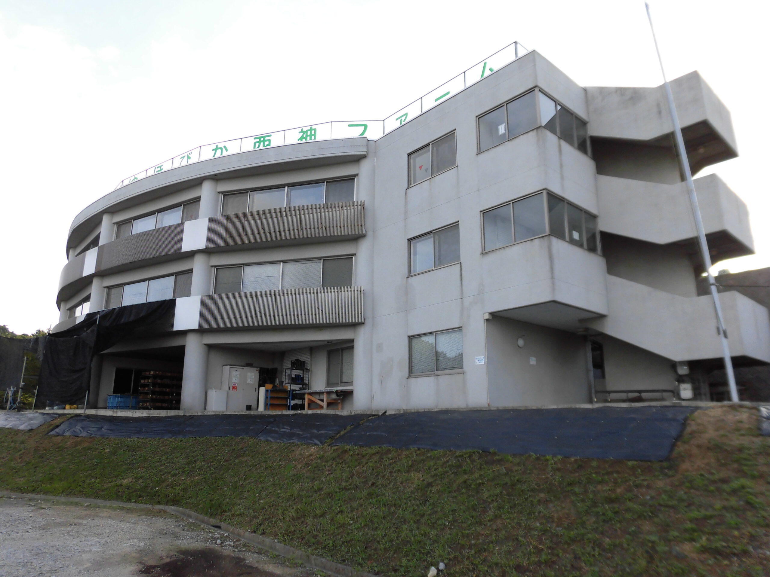 記事 西神ファームのアイキャッチ画像