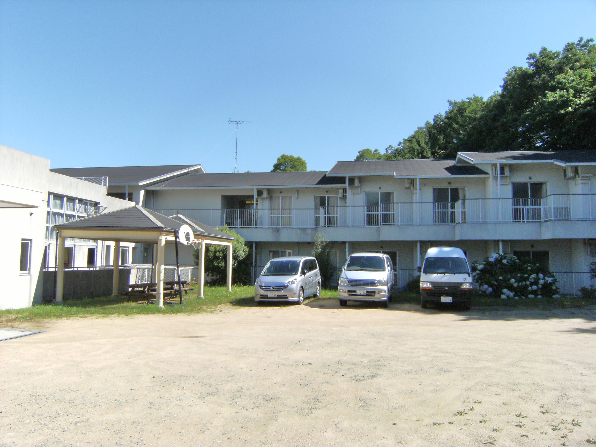 記事 清心ホームのアイキャッチ画像